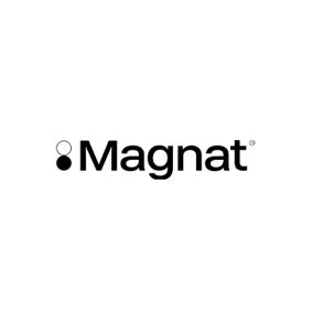 Magnet