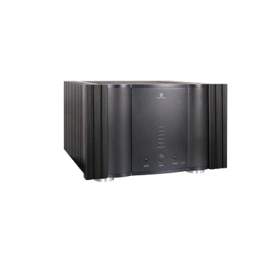 Tonewinner best Hi-Fi pure amplifier high power high end amp