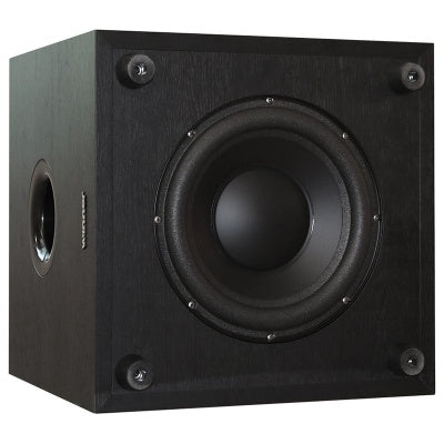Tonewinner subwoofer 10 inch tv soundbar woofer supplier