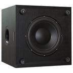 Tonewinner subwoofer 10 inch tv soundbar woofer supplier