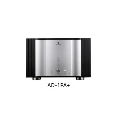 Tonewinner best Hi-Fi pure amplifier high power high end amp