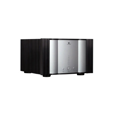 Tonewinner best Hi-Fi pure amplifier high power high end amp
