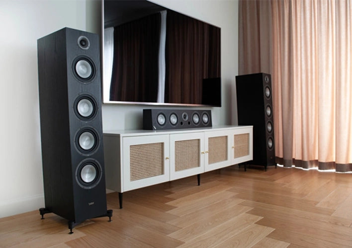 Taga Harmony Platinum C-100 v.4