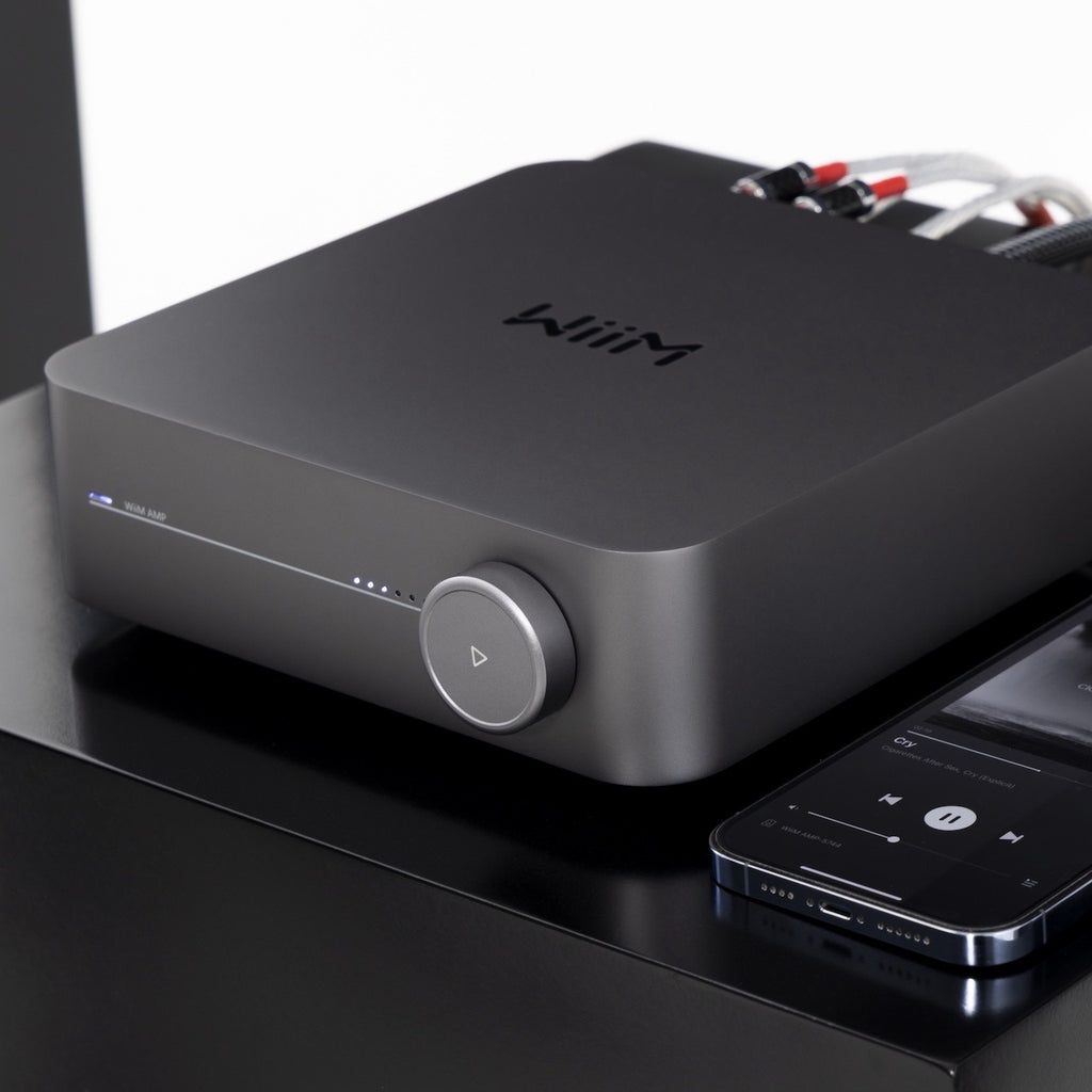 WiiM Amp Pro Streaming Amplifier | 32-bit/384kHz ES9038 Q2M DAC | WiFi 6E & BT 5.3 | High-Performance Smart Amp India
