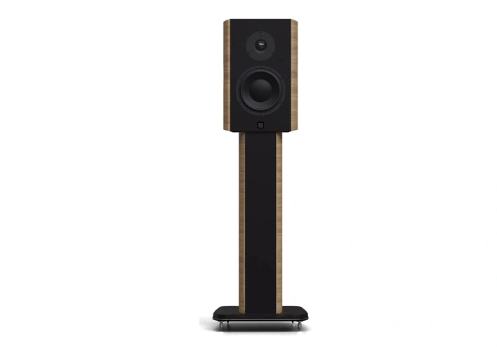Morel AVYRA WIRELESS 622 - WALNUT