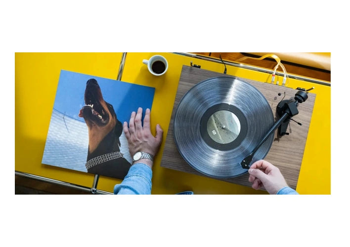 Pro-Ject Debut EVO 2