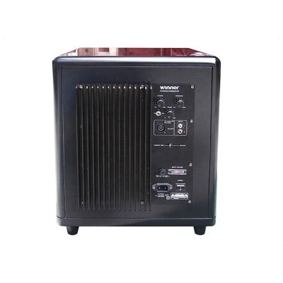 Tonewinner companies supply 12'' sub woofer 450W active home theatre