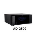 Tonewinner custom 2.0 1000W mono powerful home movie amplifier