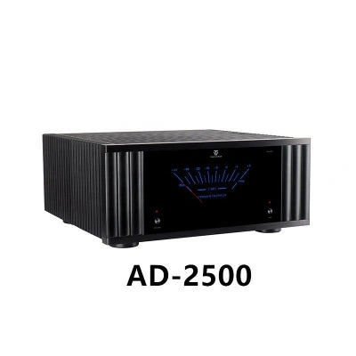 Tonewinner custom 2.0 1000W mono powerful home movie amplifier
