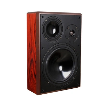 Tonewinner Hi-Fi in wall mount home theatre speakers manufactures