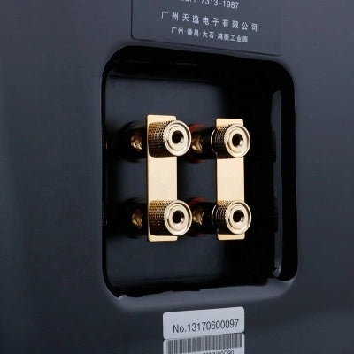 Tonewinner wholesale Hi-Fi bookshelf speakers passive sound system