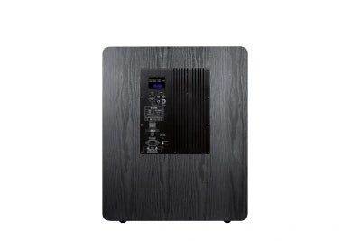ToneWinner dual 15 inch DSP powered subwoofer