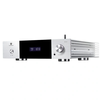 Tonewinner new arrival high speed Hi-Fi circuit stereo amplifier