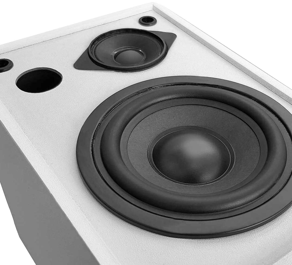 Pure Acoustic Class 100