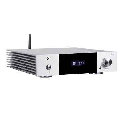 Tonewinner new arrival high speed Hi-Fi circuit stereo amplifier