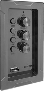 Pure Acoustic Class 100