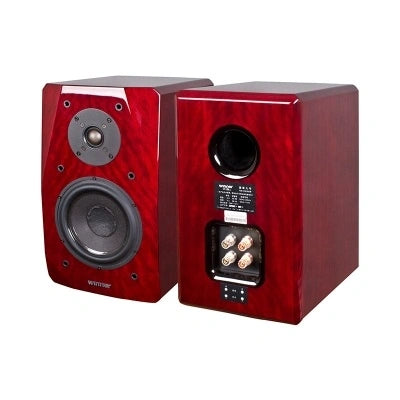 Tonewinner wholesale high-end Hi-Fi speaker bass power speaker