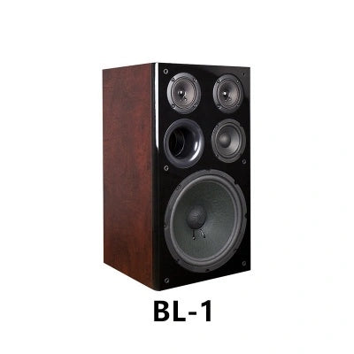 Tonewinner wholesale karaoke bookshelf home theater speakers