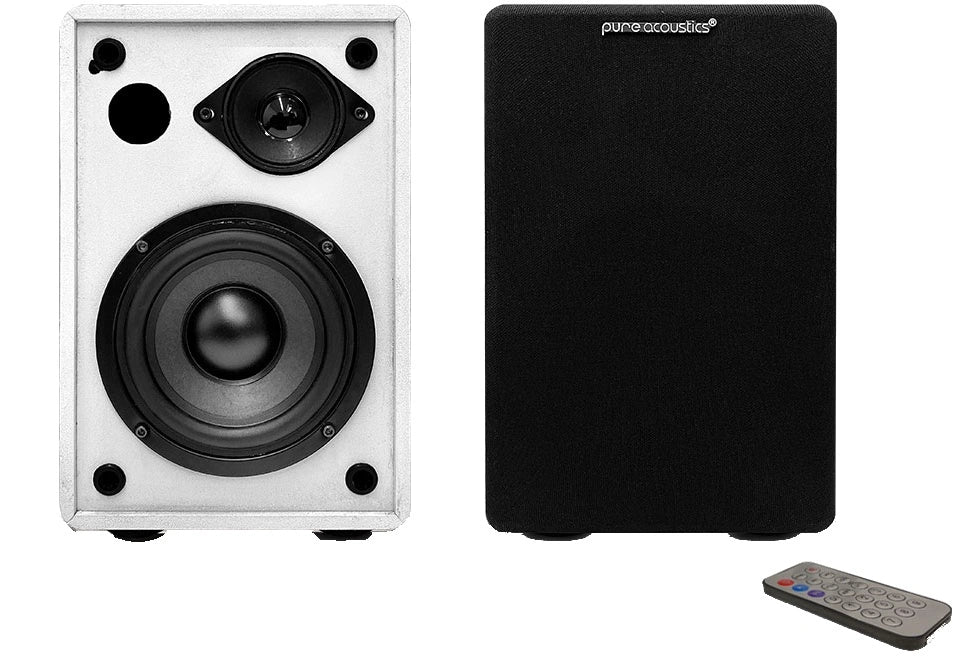 Pure Acoustic Class 100
