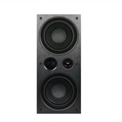 Tonewinner wholesale hot sale in wall/ ceiling speakers manufacturer