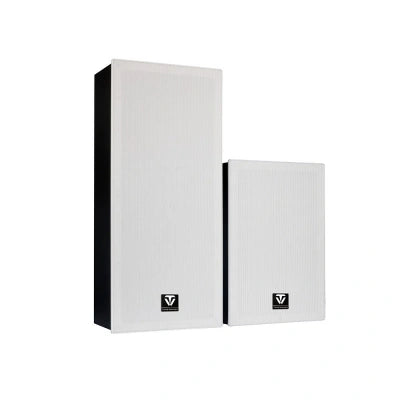 Tonewinner wholesale wall mounted in ceiling Hi-Fi speakers