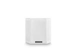Miller & Kreisel® M40T Speaker