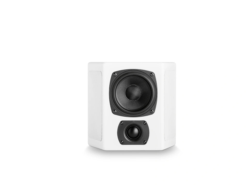 Miller & Kreisel® M40T Speaker