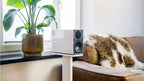 Elac Elegant Bookshelf Speaker