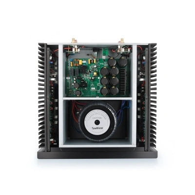 Tonewinner custom 2.0 1000W mono powerful home movie amplifier