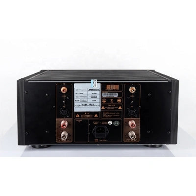 Tonewinner custom 2.0 1000W mono powerful home movie amplifier