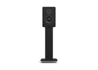 Morel AVYRA WIRELESS 622 - WALNUT